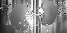 신장과 방광 부작용