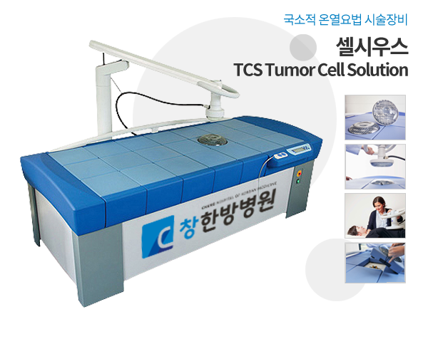 고주파온열암치료
