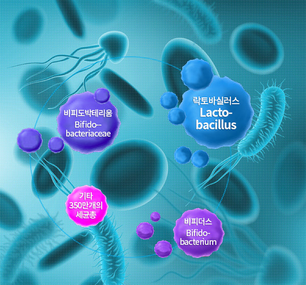 마이크로바이옴