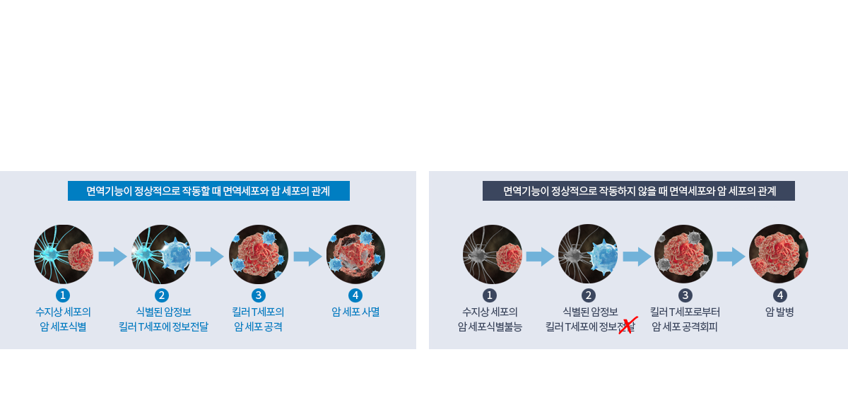 한방면역치료