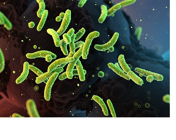 복합면역세포치료