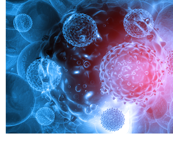 복합면역세포치료