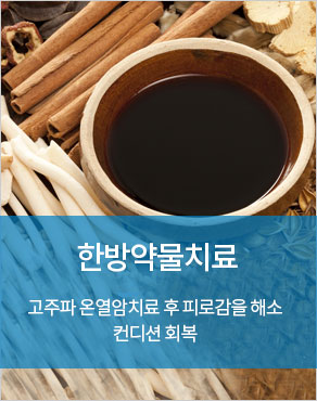 한방약물치료