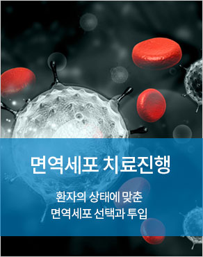 면역세포치료진행