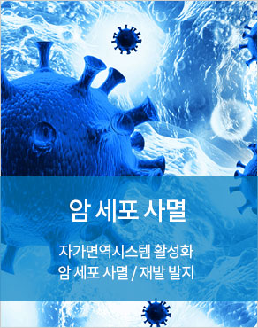 암세포사멸확인