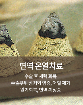 한방온열치료