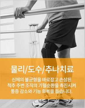 추나/물리/도수